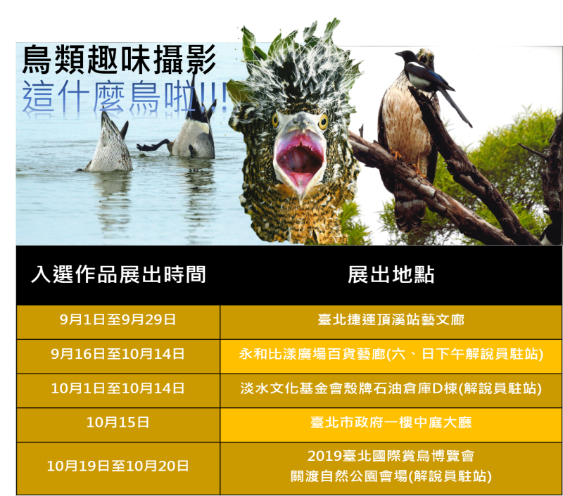 「這什麼鳥啦！」鳥類趣味攝影展自9月1日起於大台北地區藝文場所巡迴。   圖：台北市動保處／提供