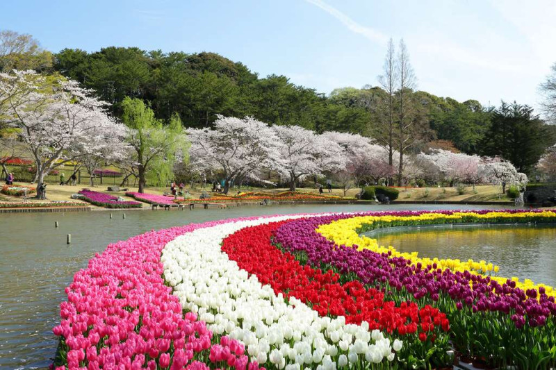 濱松花卉公園位於濱名湖畔，園內栽有約10萬株的植物，四季呈現不同色彩。   圖：翻攝自台北旅遊網