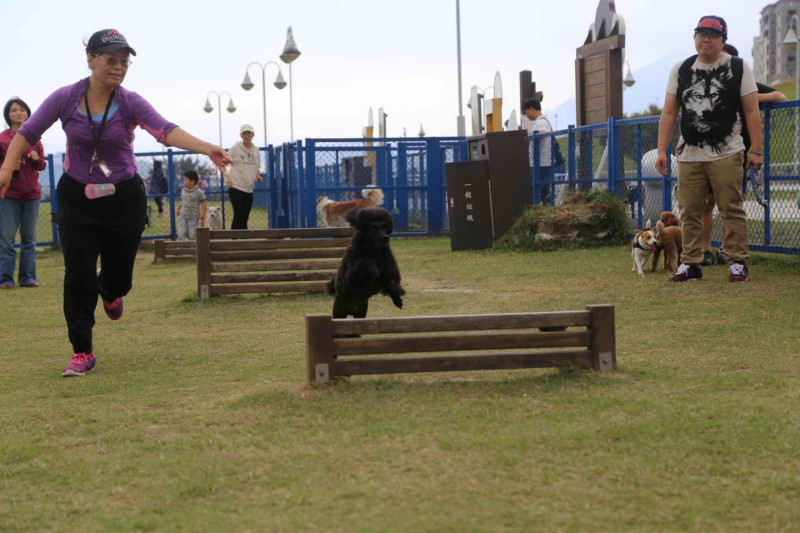新北市政府動保處9月28日將在中和四號公園舉辦「毛寶貝動健康暨世界狂犬病日」活動。   圖：新北市動保處提供
