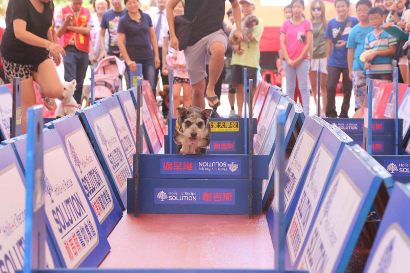 新北市動保處9月28日的「毛寶貝動健康暨世界狂犬病日」活動，有益毛寶貝身心，還有豐富好禮。   圖：新北市動保處提供