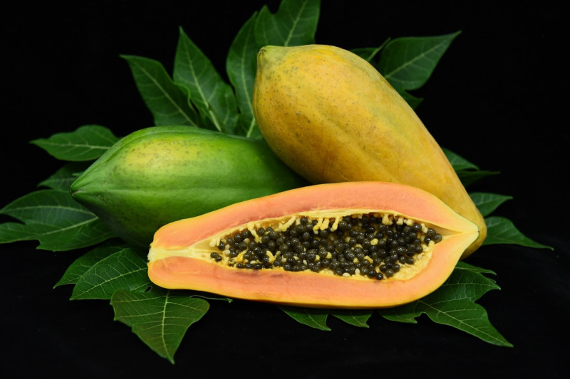 木瓜有個響亮的稱號叫「萬壽果」，營養成分超豐富，對發育期女性具也有乳房發育之助益。   圖：台南區農業改良場／提供
