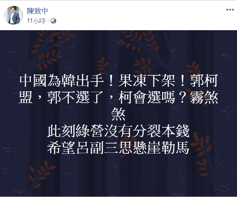 陳致中呼籲呂秀蓮三思「懸崖勒馬」。   圖/翻攝自陳致中臉書
