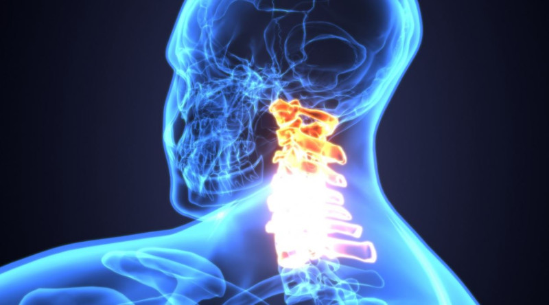 晶片大廠英特爾，現正與美國布朗大學共同研發AI醫療技術，盼協助脊椎損傷患者恢復活動力及膀胱控制的能力。   圖：擷取自布朗大學官網