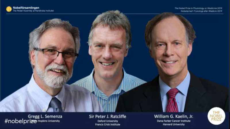 2019年諾貝爾獎7日揭曉醫學獎得主，由學者塞門薩（左）、雷克里夫（中）及凱林獲得殊榮。   圖：翻攝自Nobel Prize 的YouTube頻道
