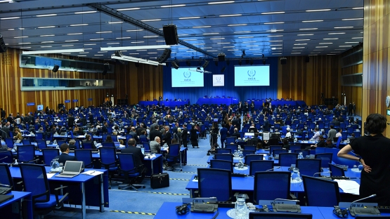 國際原子能總署近日在維也納舉行「氣候變遷中核能的角色」的研討會。   圖：翻攝國際原子能總署官網