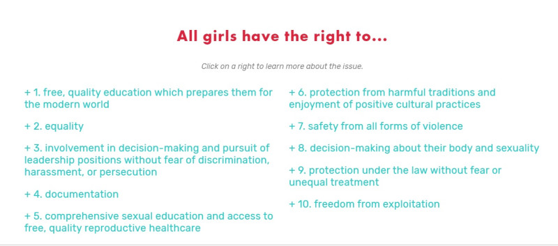 來自全球34個國家的千位女孩聯合整理出《全球女孩權利法案》   圖：擷取自女孩權利法案組織網站