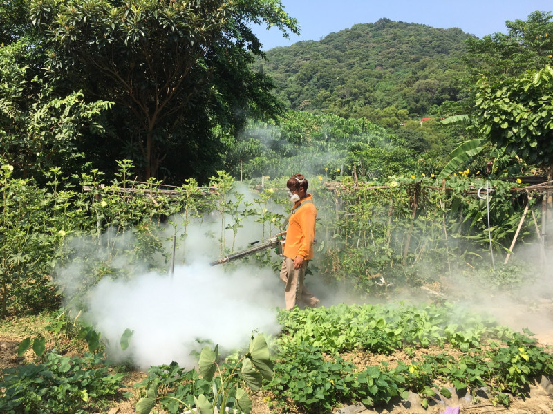 疾管署與新北市政府持續安排防疫人員加強對坡內里菜園的病媒蚊防治。   圖：新北市政府衛生局／提供