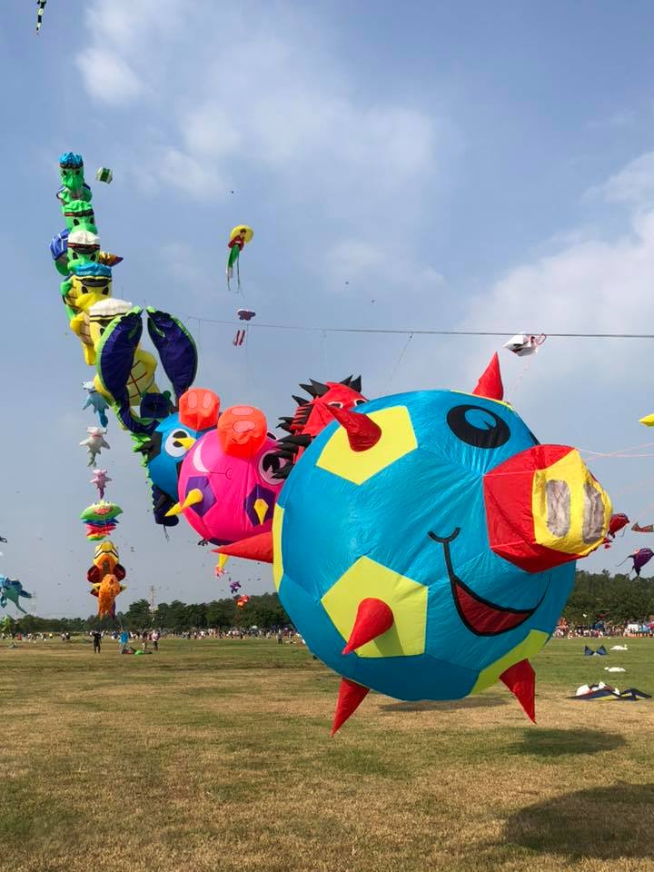 屏東國際風箏節為期兩天，各類型風箏秀和豐富的活動很適合親子活動。圖為2018年活動照。   圖：翻攝自2019屏東國際風箏節臉書
