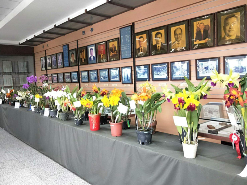 嘉義大學100週年校慶的花卉展百花齊放。   圖：嘉義大學/提供