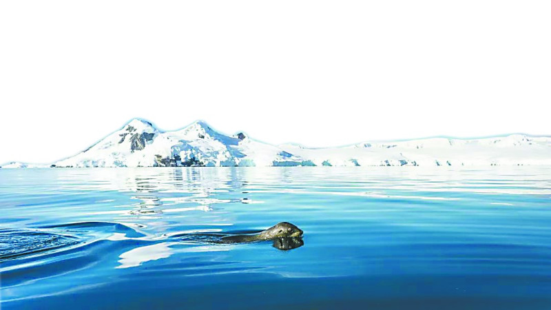 中國有望成南極最大客源國。   圖：翻攝自環球網