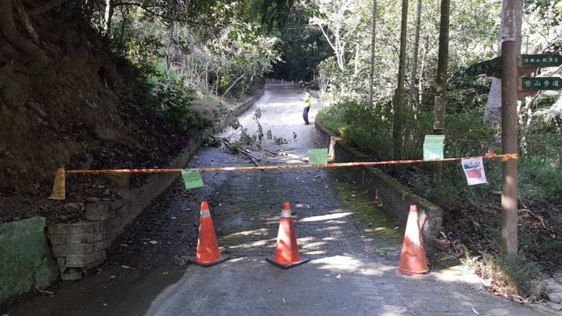 新田二號登山步道路面改善工程，即日至11月25日封閉，進行步道路面改善。    圖／觀旅局提供2019.10.30