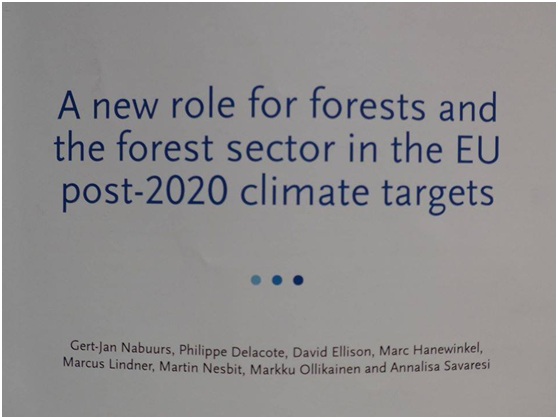 國際上討論氣候變遷的時候，經濟林經營管理是一個重點。/圖片來源：作者提供