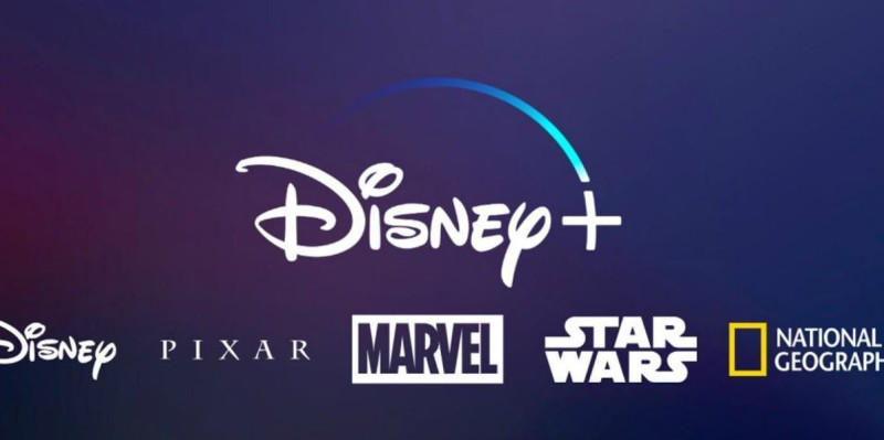 迪士尼剛推出的電視串流媒體服務「Disney＋」發生系統故障，導致許多消費者無法進入觀看。   圖：截取自Disney＋推特