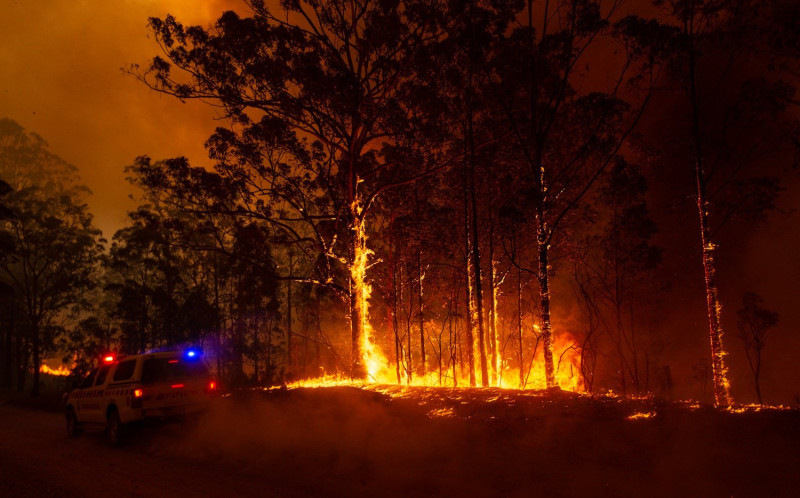 澳洲東岸進入野火盛行季節，野火燃燒處距離雪梨僅1至2小時車程，外交部提醒國人務必注意安全。   圖：翻攝自新南威爾斯州消防局臉書