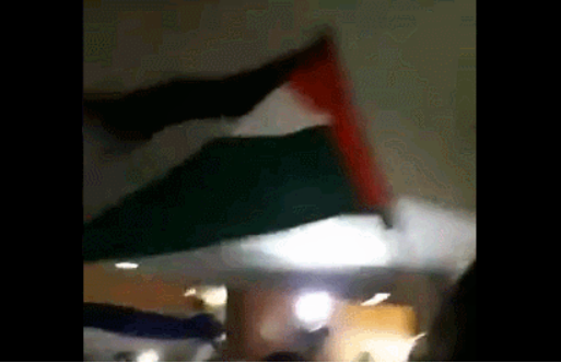 抗議者揮動巴勒斯坦國旗。   圖：翻攝自微信