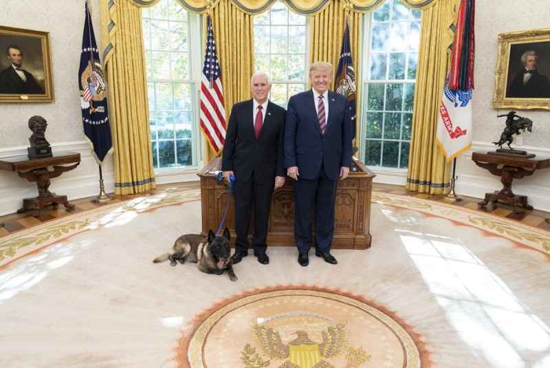 美國軍犬「柯南」（左）因為追捕「伊斯蘭國」組織頭目有功，受邀訪問白宮，獲得美國總統川普（右）與副總統彭斯表揚。   圖：翻攝自彭斯推特