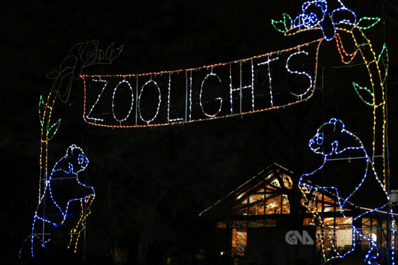 美國史密森尼國家動物園燈光秀今年邁入第13年，仍吸引許多民眾前往。圖為園區入口處的燈光裝飾。   圖：中央社