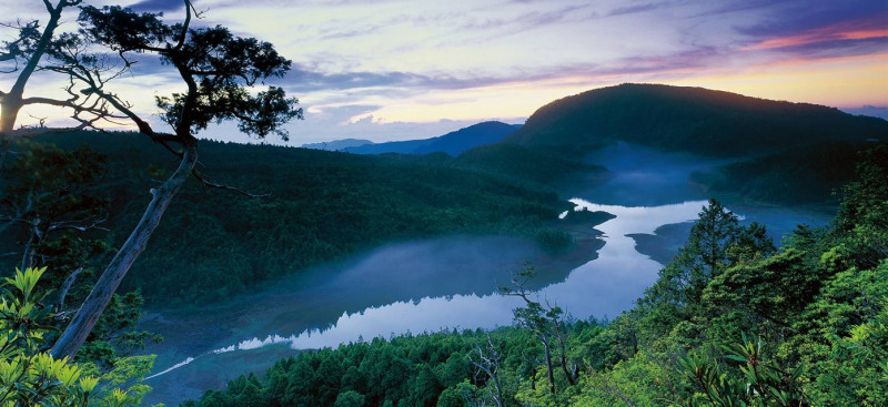 太平山翠峰湖有如山中遺落明鏡，冬季進入滿水期，是它最美的季節。圖：翻攝自太平山國家森林遊樂區臉書
