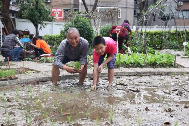 新泰國小學生與樂齡志工一同種田，體會田園樂趣。   圖：新北市教育局/提供 