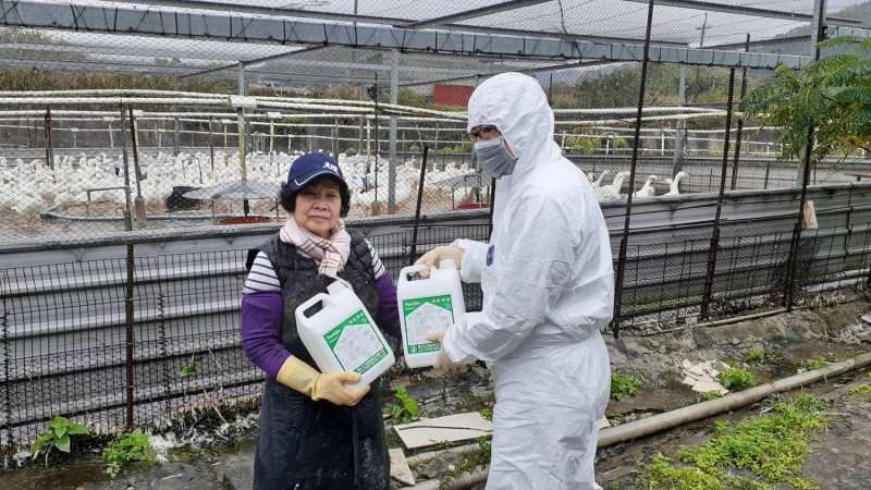 新北市動保處提養禽場業者消毒水，進行消毒防疫。    圖：新北市動保處/提供