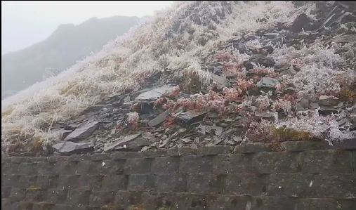 有民眾在合歡山小風口33－35K拍攝到冰霰與雨水一同落下   圖：網友古禮榮/授權提供
