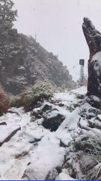 雪霸保育志工鄧安美表示，雪東4.0k以上下雪且開始有積雪，並提醒上山的山友注意安全。   圖：雪霸保育志工鄧安美/授權提供