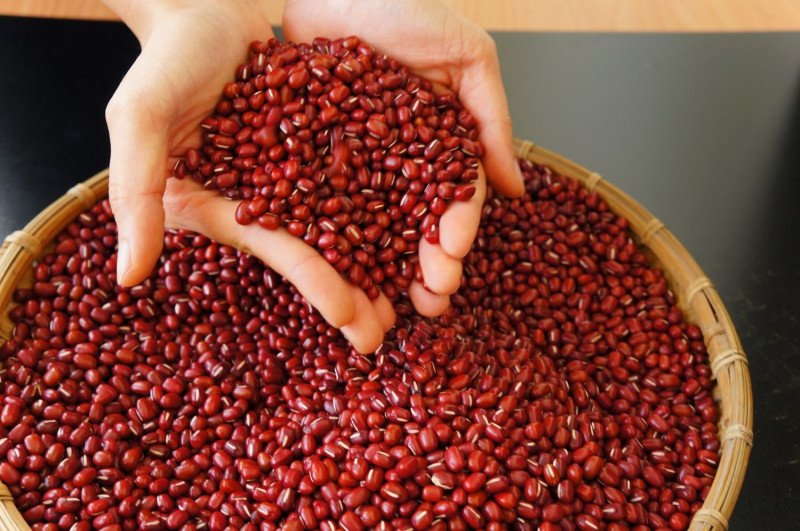 農委會表示，將調整紅豆、大蒜配額外關稅。   圖：取自北區農糧署官網(資料照)