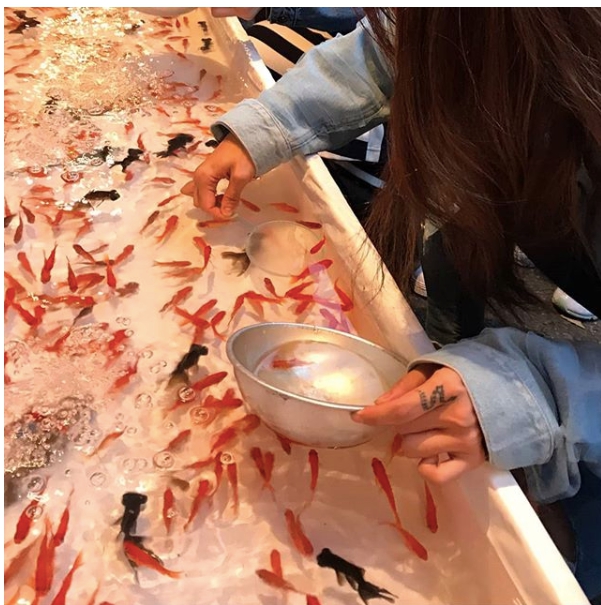日本大阪女高中生憑著在「撈金魚」全國大會好成績，順利錄取關西外國語大學，成了以擅長撈金魚上大學的第一人。(示意圖)   圖 : 翻攝自IG