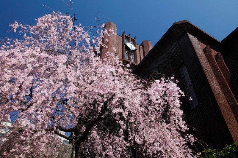 二戰後，胡適提議要設定五到十所如日本東京大學等國立大學。  圖：翻攝自東京大学 | UTokyo