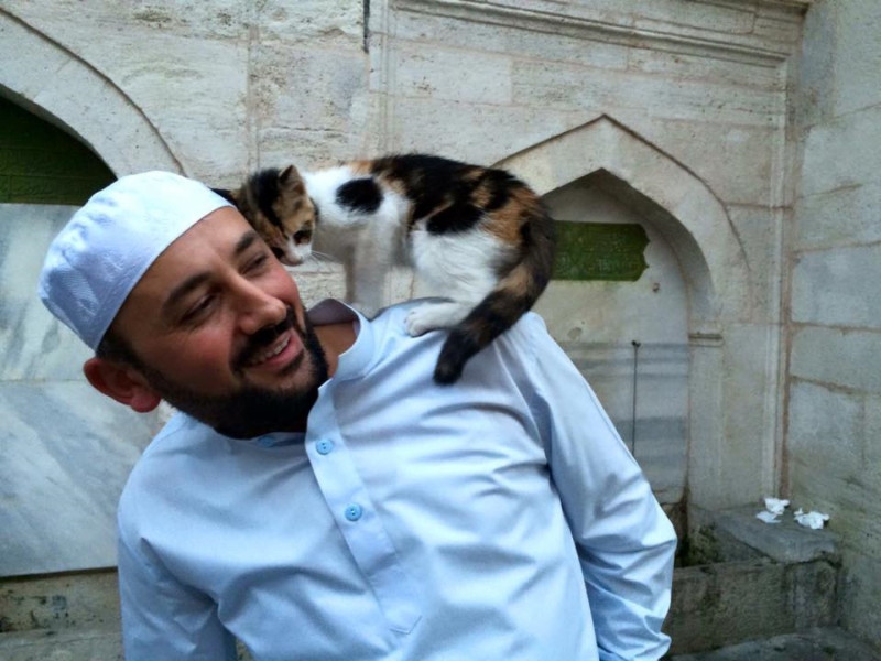 土耳其男子Imam Mustafa Efe為了讓浪貓有避冬的地方，敞開清真寺大門供牠們自由進出。   圖／FB@Hafız Mustafa Efe