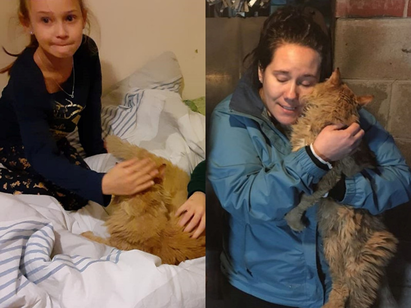 美國女子布蘭妮一家在歷經一場大火後以為愛貓喪生，沒想到一個月後奇蹟找回愛貓。   圖／Facebook@Brittany Cressey