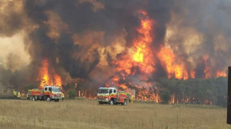澳洲年初曾飽受野火侵擾。   圖 : 翻攝自twitter.com/NSWRFS