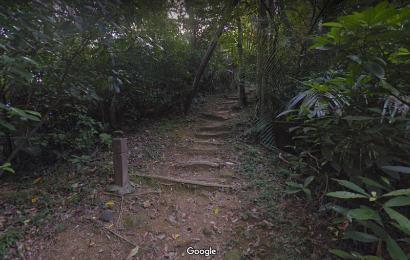 台北市內湖區一處樹林驚傳3屍命案。   圖：翻攝自google map