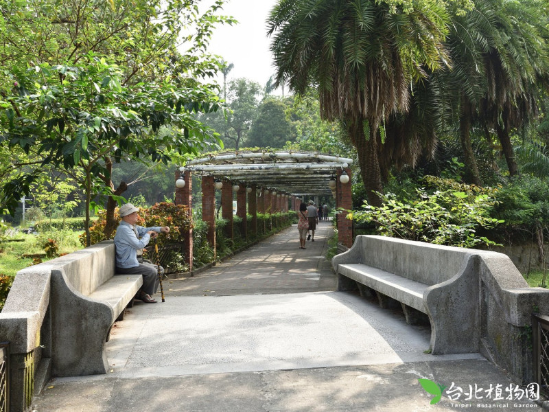 台北植物園一景。   圖：翻攝自台北植物園臉書