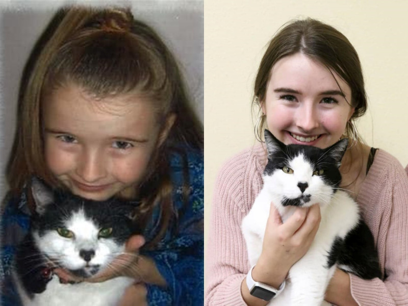 美國一名愛貓的15歲的少女到收容所Saving Grace Pet Adoption Center幫忙，沒想到竟遇上奇蹟。   圖／KMTR