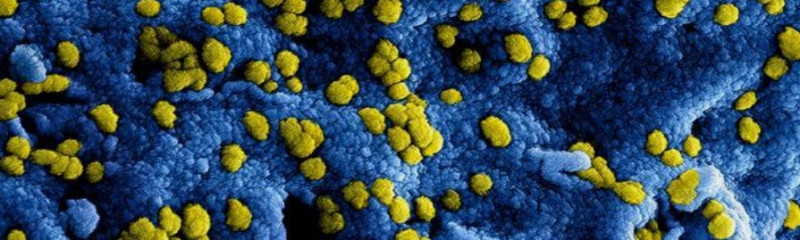 中國武漢爆發的新型冠狀病毒（2019-nCoV），目前傳染來源及傳播途徑不明，可以說是無藥可醫。   圖：翻攝自WHO官網