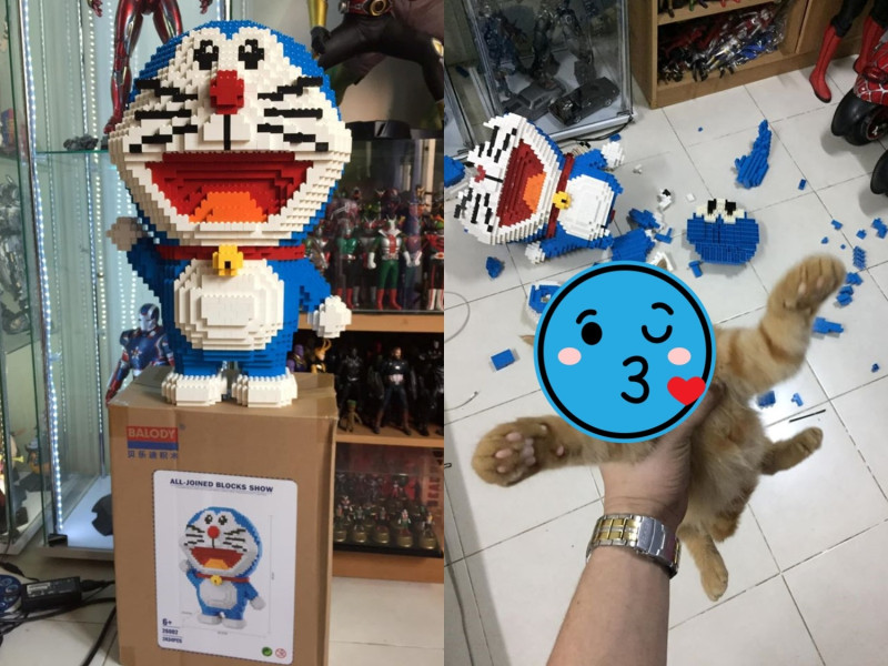 一名男子花了一週時間組好的巨大哆啦A夢模型，竟被主子一秒毀滅。   圖／Facebook@ภูมิมัย พรทอง