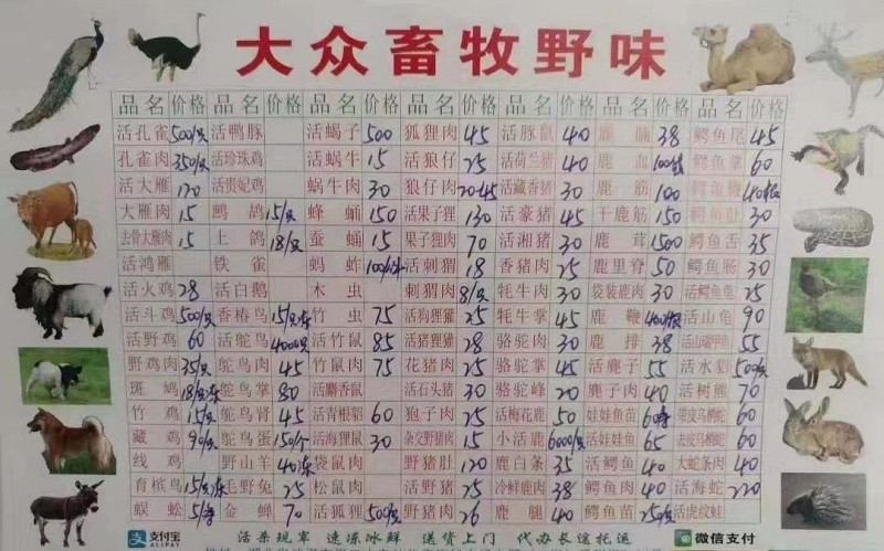新京報刊載的武漢市場野味交易商品價格，種類繁多。   圖：翻攝自新京報官網