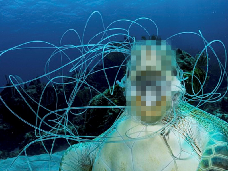 日前一名加拿大攝影記者發現一隻海龜被魚線纏繞住全身，已死亡多時。   圖／IG@shanegrossphoto