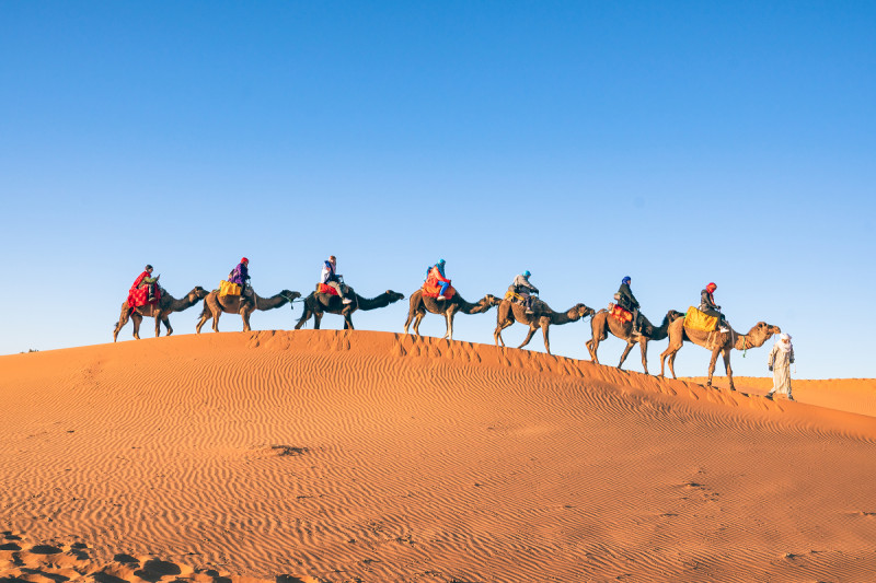 摩洛哥是色彩鮮豔繽紛的國家，沙漠褐、田野綠、紅色/黑色城市......7種色彩貫串摩洛哥國境，有如調色盤。   圖：謝佳真／攝