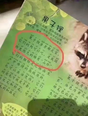 中國兒童讀物竟稱，「果子狸全身都是寶，它們的肉可以吃，是我國歷史悠久的稀有山珍」。   圖：翻攝自微信