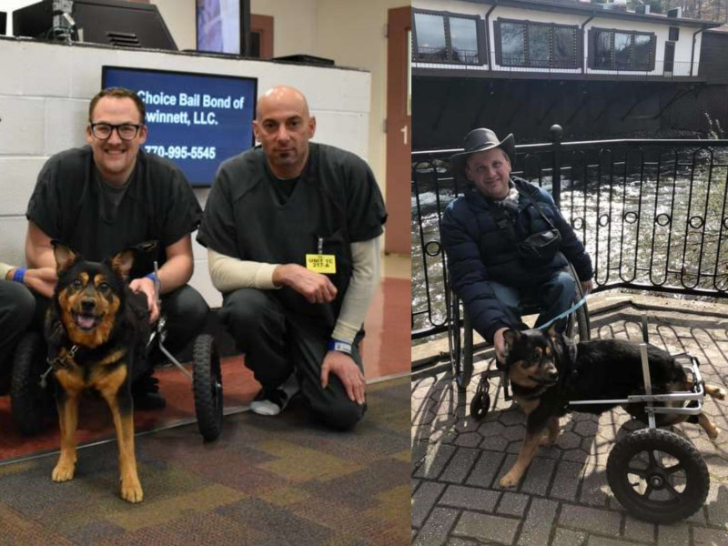 班迪因為需使用輪椅，生活中需要許多特殊照料。   圖／Gwinnett Jail Dogs Program