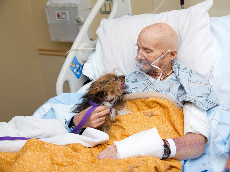經過醫院與動物福利組織的幫忙，讓約翰終於能再見帕奇一面。   圖／FB@Albuquerque Animal Welfare