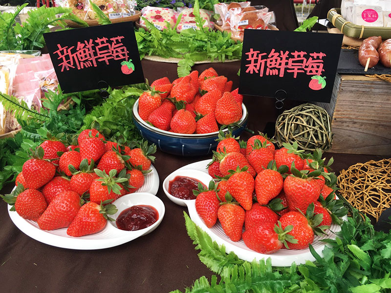 台北內湖的草莓季今天開跑，在地農園還有多種DIY活動與草莓季美食可以品嘗。   圖：比洋國際／提供