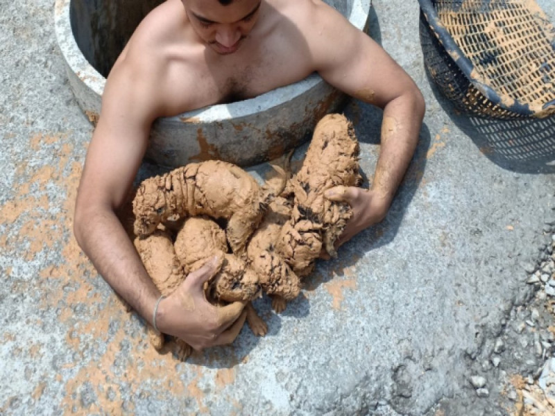 泰國一男子日前跳入工地井裡抱出5顆「泥巴球」。   圖／coconuts.co