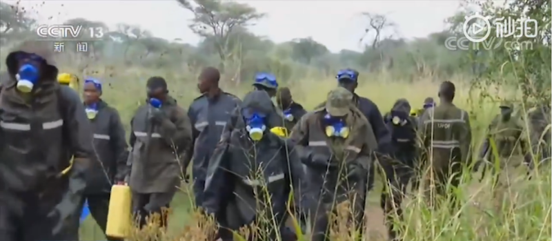 烏干達調派軍隊消滅蝗蟲。   圖：翻攝自央視