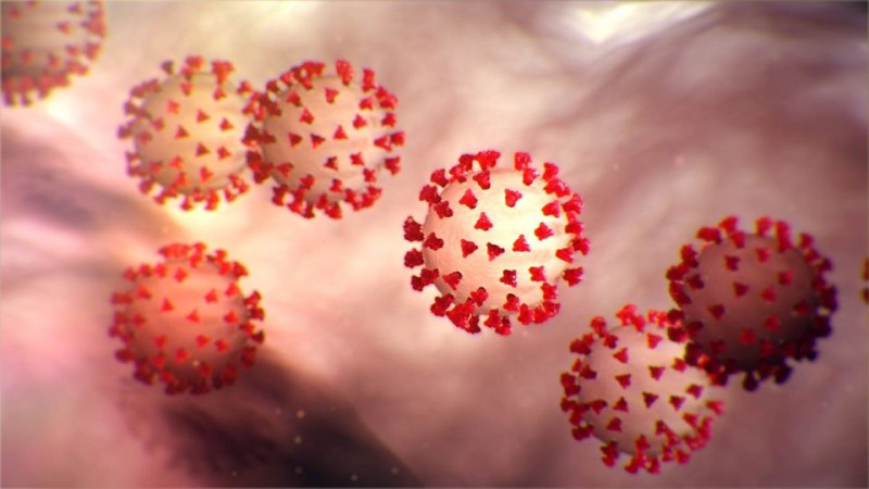 2019 新型冠狀病毒感染的武漢肺炎疫情持續擴散，連美國疾病控制與預防中心都警告，美國可能爆發大流行。   圖：翻攝自美國CDC臉書
