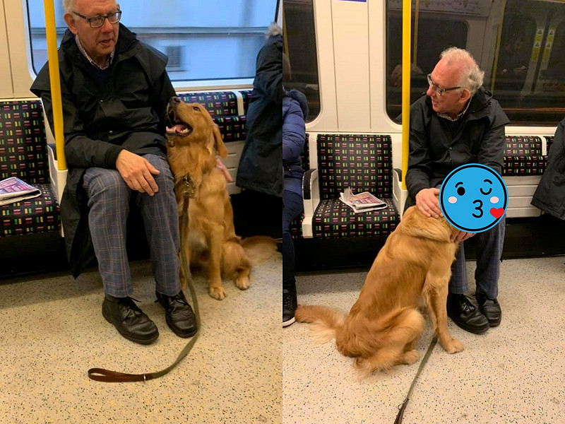 嗚嗚嗚～新把拔不要走啊～偶們玩得好開心der～   圖／Facebook@Hugo and Ursula