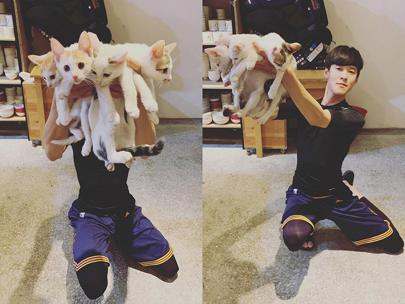 毛先生捧著4隻小萌貓跟老婆求婚～啊～叫人怎麼能不心動啊～   圖／網友毛亮軒提供