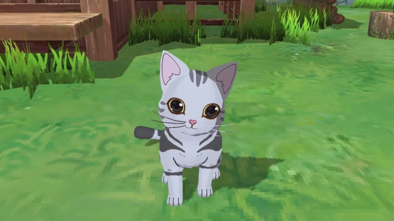 遊戲裡一共有8種貓可供玩家收集。
